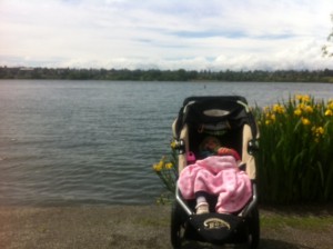 baby in jogging stroller at greenlake