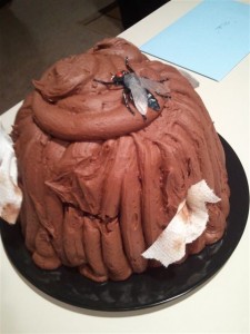 poop cake