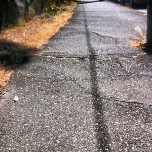 bumpy bike trail