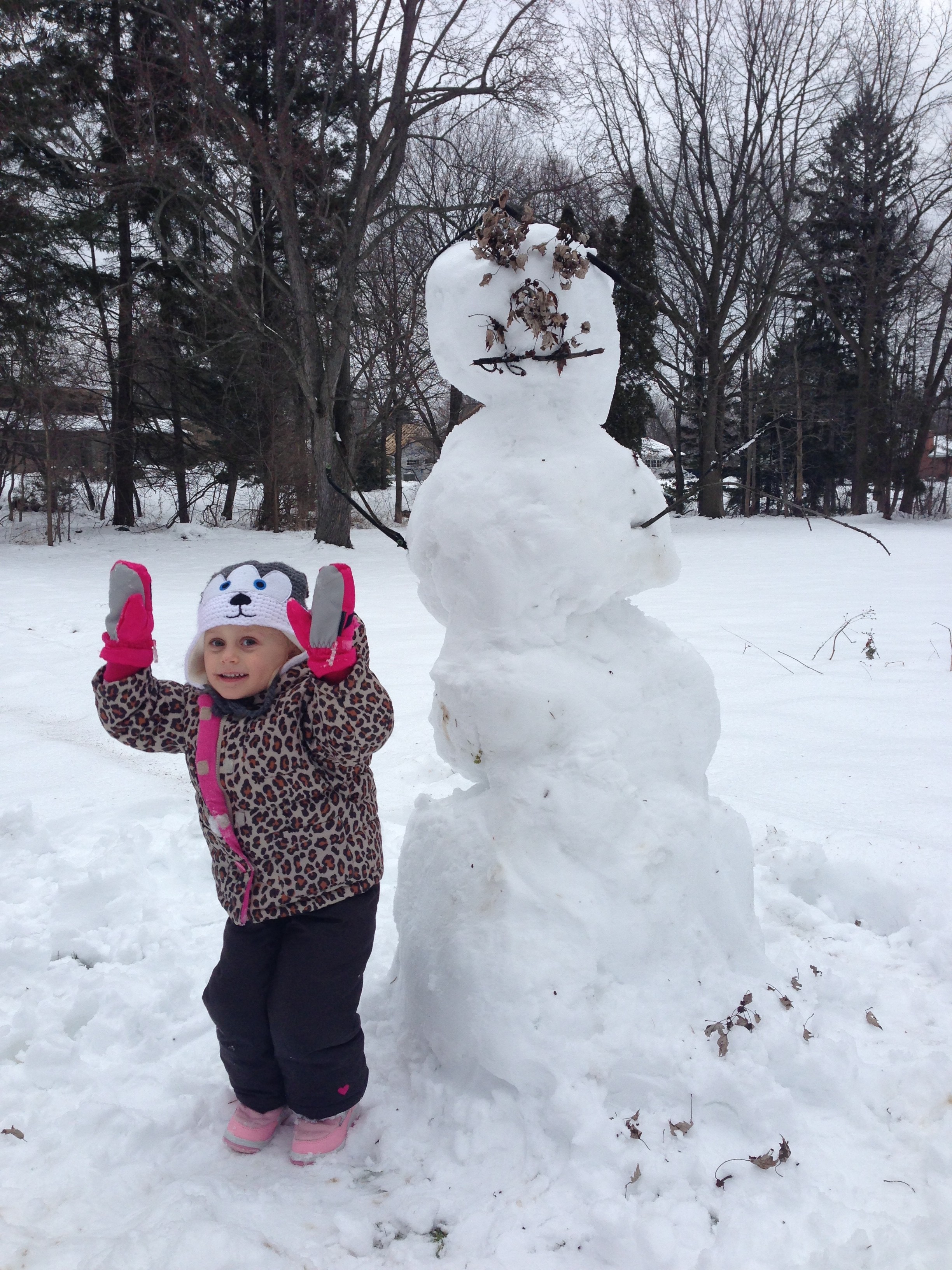 snowman with leaves for eyes